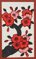Ooishi Tengudo Hnafuda Flower Cards Chihoufukkokuban Kintokihana Japanese Hanafuda Playing Cards Game